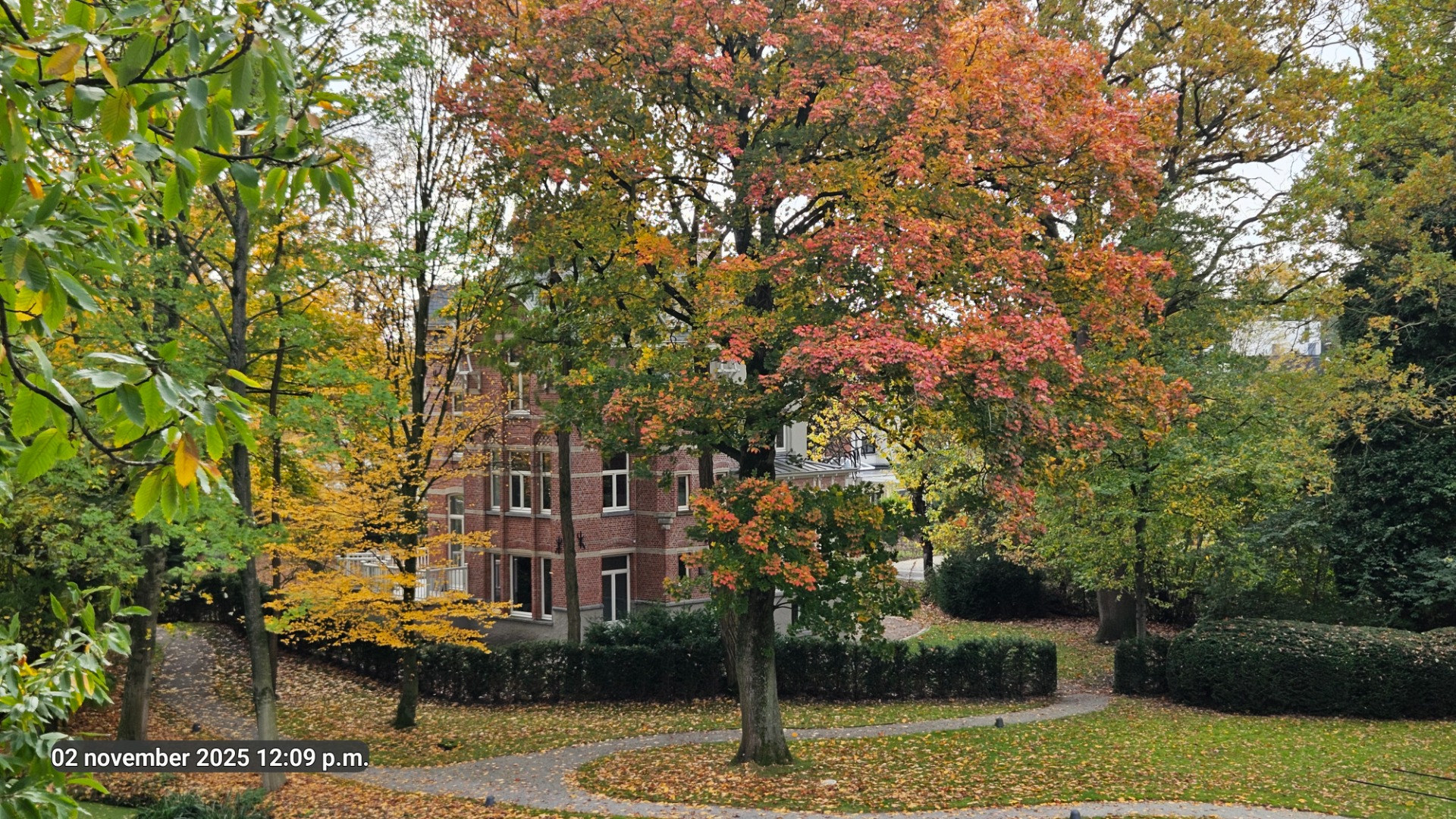 Herfst